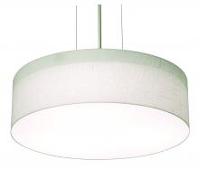 AFX Lighting, Inc. ANP1214LAJUDSN-LW - Anton 13" LED Pendant