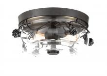 Minka-Lavery 2759-694 - 2 LIGHT FLUSH MOUNT