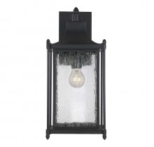 Savoy House 5-3452-BK - Dunnmore 1-Light Outdoor Wall Lantern in Black