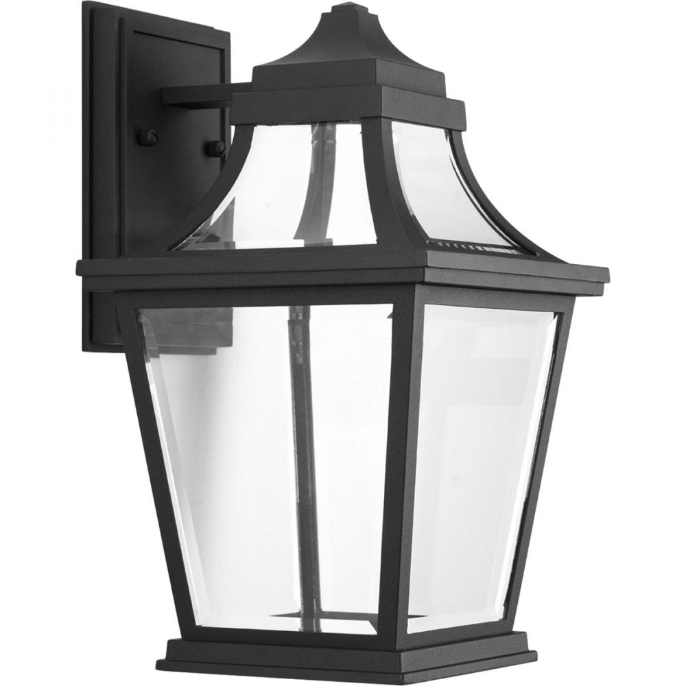 Endorse Collection One-Light Medium Wall Lantern