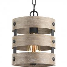 Progress P500022-143 - Gulliver Collection One-Light Graphite Coastal Pendant Light