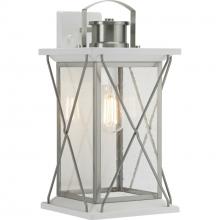 Progress P560158-135 - Barlowe Collection Stainless Steel One-Light Large Wall Lantern