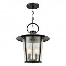 Crystorama AND-9204-SD-MK - Andover 4 Light Matte Black Outdoor Pendant