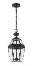 Z-Lite 580CHM-BK - 2 Light Outdoor Chain Mount Ceiling Fixture