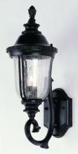 Trans Globe 4021 BK - Chessie 20-In. 1-Light Crackle Glass Armed Wall Lantern