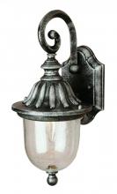 Trans Globe 4184 WH - 1LT U SHAPE LANTERN WH