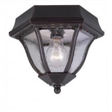 Trans Globe 4558 RT - Bostwick 8.75" Flushmount Lantern