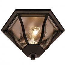 Trans Globe 4559 BK - Bostwick 8.5" Flushmount Lantern