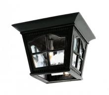 Trans Globe 5427 BK - Briarwood 3-Light Rustic, Chesapeake Embellished, Glass and Metal Open Base Outdoor Flush Ceiling La