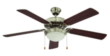 Trans Globe F-1022 BN - Mateo Traditional Ceiling Fan with Light Kit and Reversible Blades