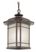 Trans Globe PL-5826 BK - 1LT HANGING-LRG-GU24-OUTD-TEA