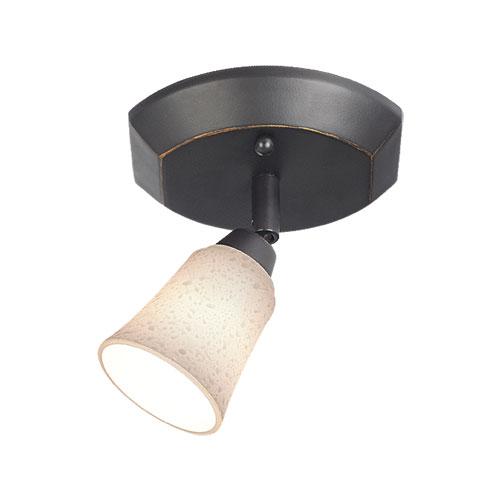 Single ceiling pan