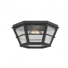 Troy C2514-FRN - Lake County Flush Mount